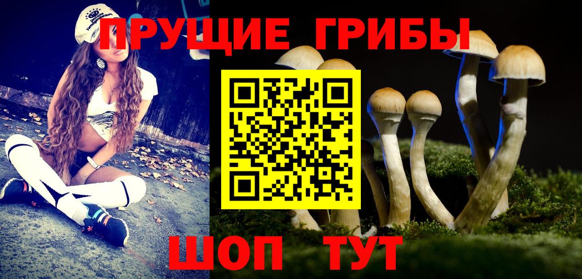 Галлюциногенные грибы MAGIC MUSHROOMS Калач-на-Дону