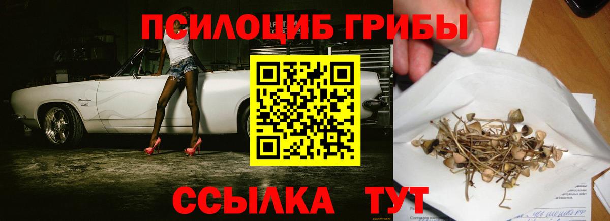 Калач-на-Дону  Псилоцибиновые грибы Psilocybe  Вход с VPN  Псилоцибиновые грибы MAGIC MUSHROOMS 